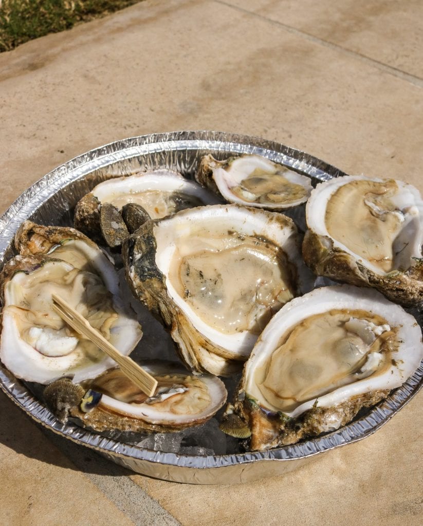 Austin Oyster Festival