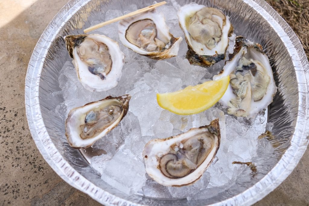 Austin Oyster Festival