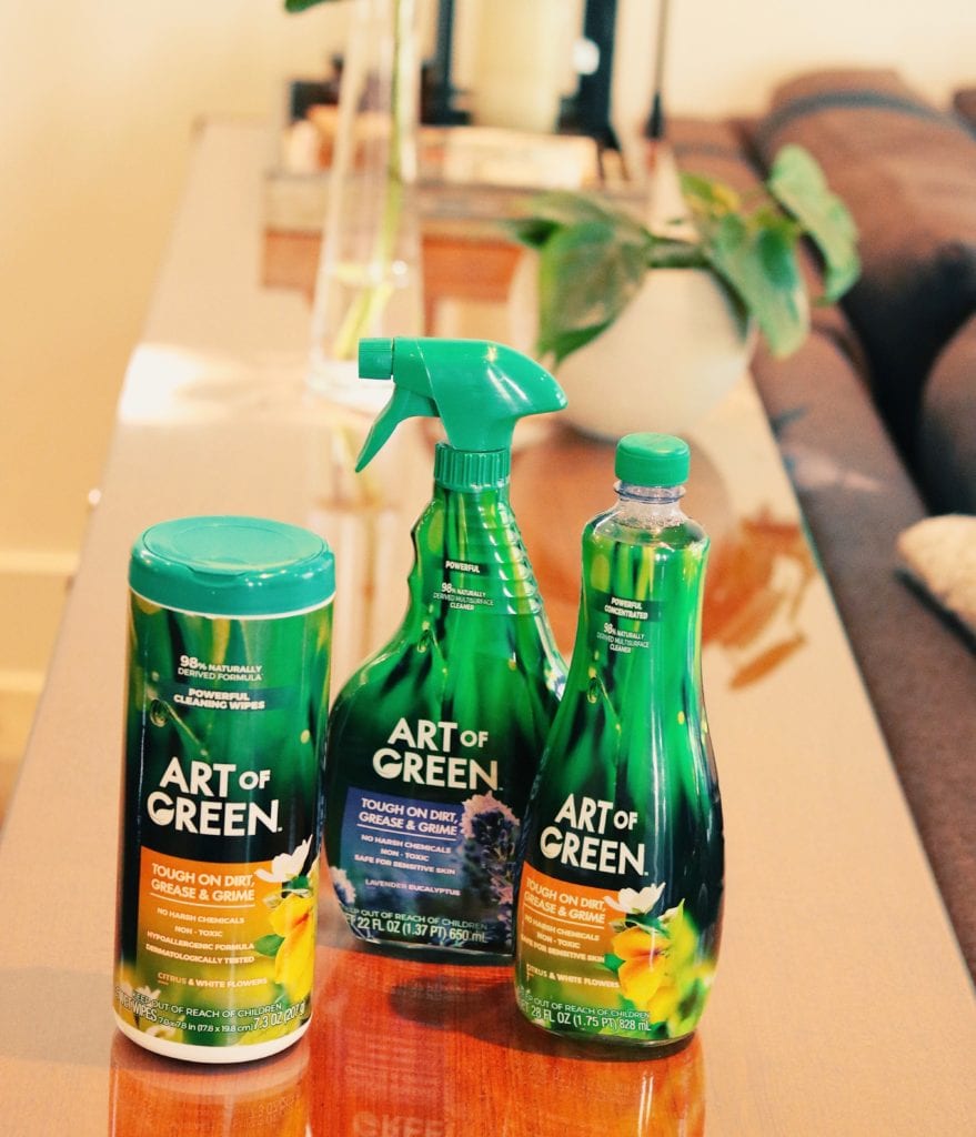 Art of Green | 3 Tips I Use To Keep My Austin Home Sparkling