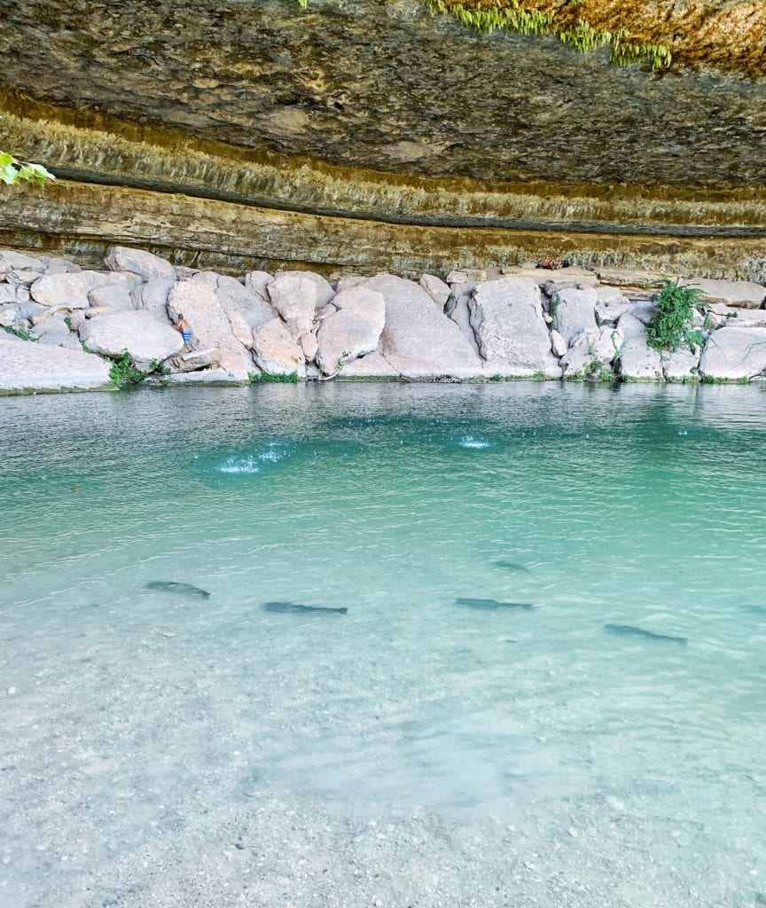 Everything you need to know about visiting Hamilton Pool in Austin Texas