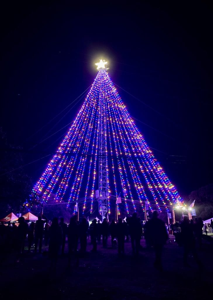 Zilker Tree Lighting Ceremony - So Much Life