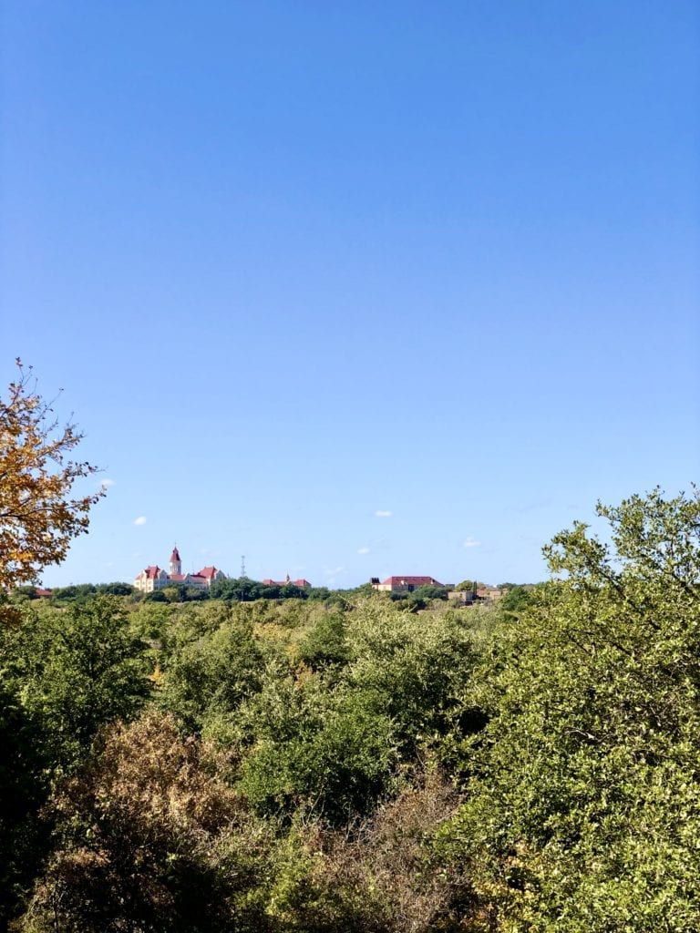 Blunn Creek is a short, easy hike in the middle of Austin