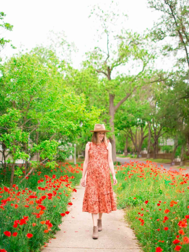 Poppies in Georgetown