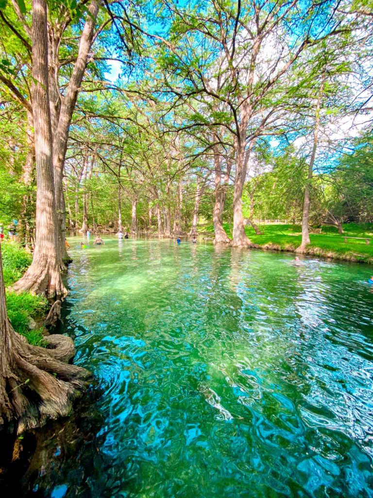 15 Best Swimming Holes in Austin