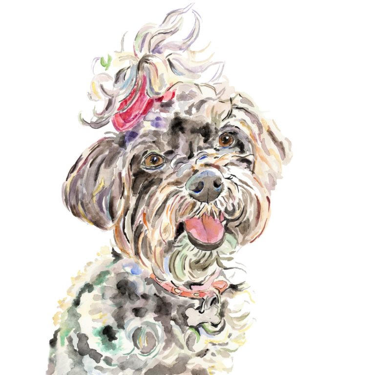 pet portrait from Kathy Phantastic