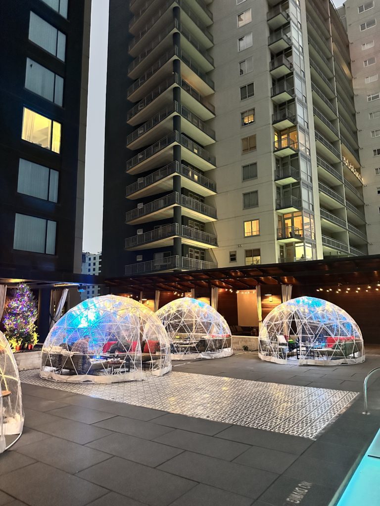 South Pole Igloos at Geraldines