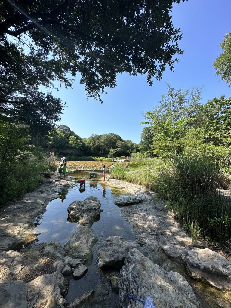 Austin Nature and Science Center