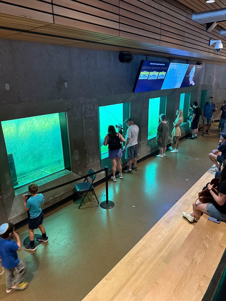 Ballard Fish Ladder